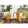 2023 1 hometherapy lush orizzontale